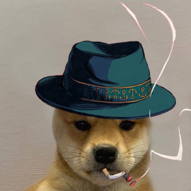 dogwifcoin
